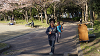 hana26 (336)_thumb.png